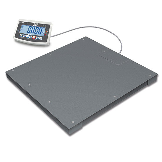 Bodenwaage, Wägebereich maximal 600 kg, Ablesbarkeit 200 g
